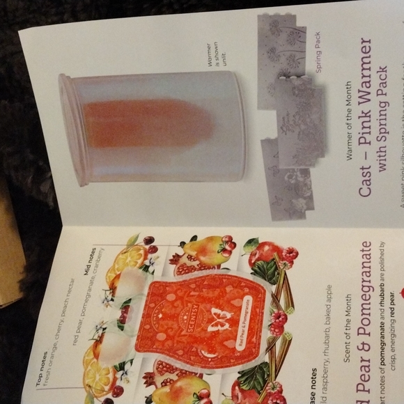 Cast Pink with Spring Pack Scentsy Warmer - Picture 7 of 8